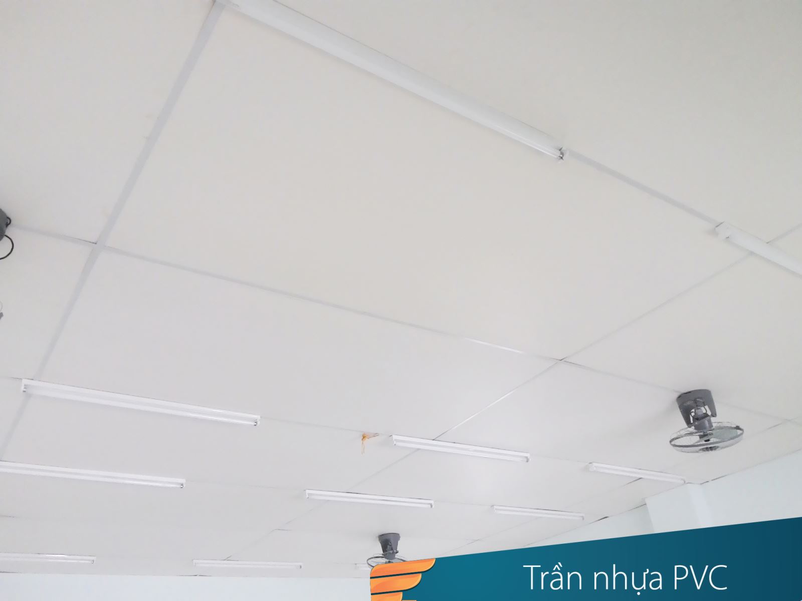 trần nhựa pvc